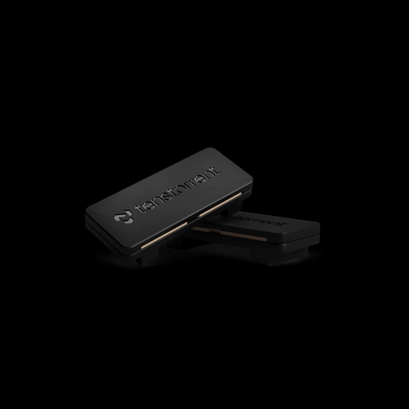 Two Tenstorrent Blackhole accelerator chips on a dark background